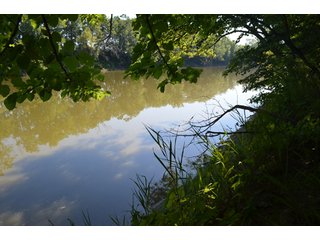 Property photo 8 - 108 +/- Acres Offered in 2 Tracts - Land Auction